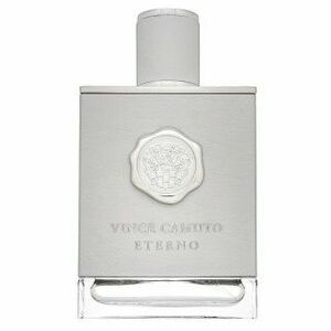 Vince Camuto Eterno toaletní voda pro muže 100 ml obraz