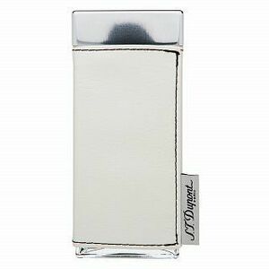 S.T. Dupont Passenger for Women parfémovaná voda pro ženy 100 ml obraz