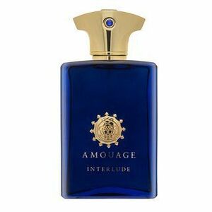 Amouage Interlude parfémovaná voda pro muže 100 ml obraz