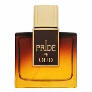 Rue Broca Pride My Oud parfémovaná voda pro muže 100 ml obraz