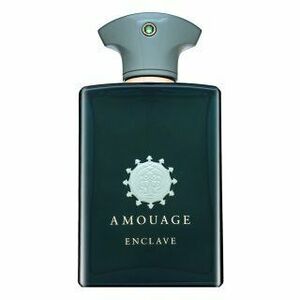 Amouage Enclave parfémovaná voda pro muže 100 ml obraz