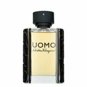 Salvatore Ferragamo Uomo toaletní voda pro muže 100 ml obraz