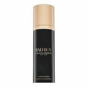 Carolina Herrera Bad Boy toaletní voda pro muže Power Up Spray 100 ml obraz