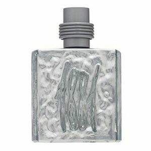 Cerruti 1881 Silver toaletní voda pro muže 100 ml obraz