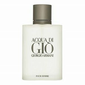 Armani Acqua di Giò Pour Homme toaletní voda pro muže obraz