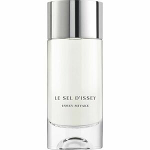 Issey Miyake Le Sel d'Issey toaletní voda pro muže 100 ml obraz