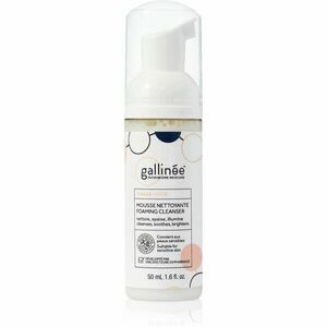 Gallinée SKIN CARE Foaming Facial Cleanser jemná čisticí pěna na obličej 50 ml obraz