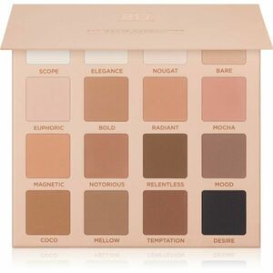 SOSU Cosmetics All Matte Everything Eyeshadow Palette paletka očních stínů 16x2 g obraz