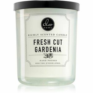 DW Home Signature Fresh Cut Gardenia vonná svíčka 425, 53 g obraz