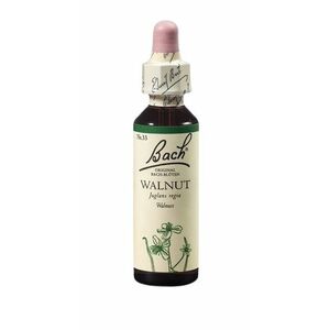 DR. BACH Walnut 20 ml obraz