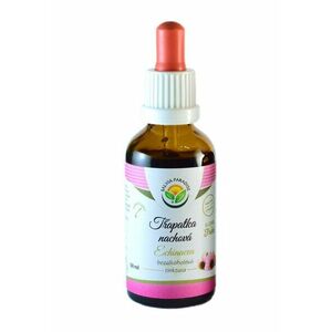 SALVIA PARADISE Echinacea - třapatka nachová AF tinktura 50 ml obraz