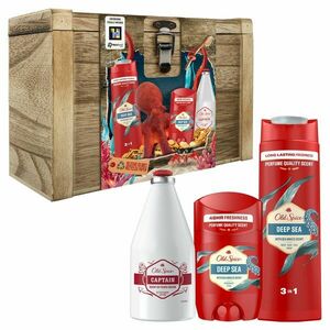 OLD SPICE Treasure Chest pro muže, tuhý deodorant a sprchový gel Deep Sea a voda po holení Captain obraz