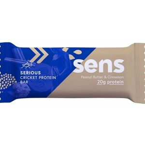 SENS Pleasure Protein tyčinka s cvrččí moukou arašídové máslo & skořice 60 g obraz