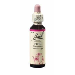 DR. BACH Pine 20 ml obraz