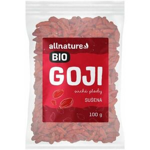 ALLNATURE Goji Kustovnice čínská sušená BIO 100 g obraz