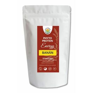 SALVIA PARADISE Phyto Protein Energy - banán 300 g obraz