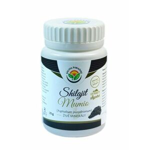 SALVIA PARADISE Shilajit - mumio 25 g obraz