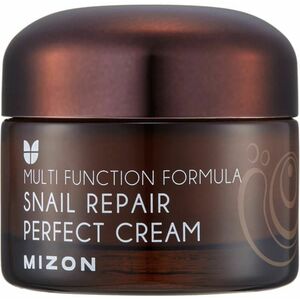 MIZON Snail Repair Perfect Cream, Vyživující krém na vrásky 50 ml obraz