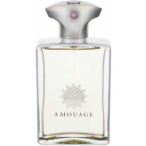 AMOUAGE Reflection Man 100 ml obraz