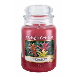 YANKEE CANDLE Tropical Jungle 623 g obraz