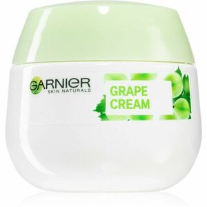 Garnier Botanical hydratační krém pro normální až smíšenou pleť 50 ml obraz