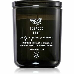 DW Home Prime Tobacco Leaf vonná svíčka 240, 9 g obraz