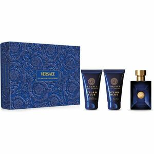 Versace Pour Homme Toaletní voda 50ml obraz