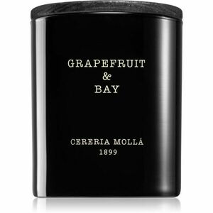 Cereria Mollá Boutique Grapefruit & Bay vonná svíčka 230 g obraz