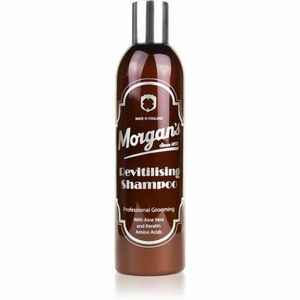 Morgan's Revitilising Shampoo intenzivně vyživující šampon 250 ml obraz