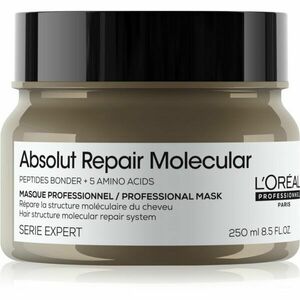 L’Oréal Professionnel Serie Expert Absolut Repair Molecular hloubkově posilující maska na vlasy 250 ml obraz