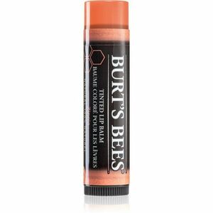 Burt’s Bees Tinted Lip Balm balzám na rty odstín Zinnia 4.25 g obraz