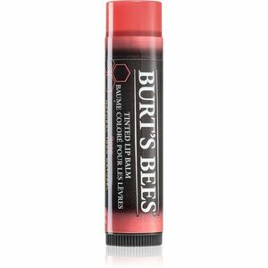 Burt’s Bees Tinted Lip Balm balzám na rty odstín Rose 4.25 g obraz