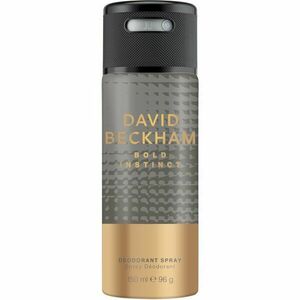 David Beckham Instinct - deodorant ve spreji 150 ml obraz