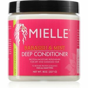 Mielle Babassu & Mint hydratační kondicionér 227 g obraz