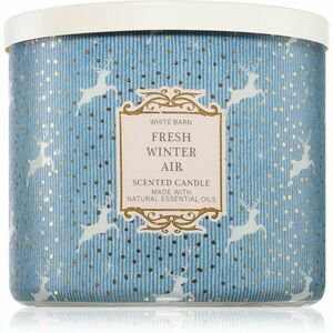 Bath & Body Works Fresh Winter Air vonná svíčka 411 g obraz