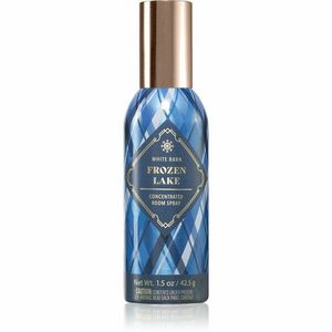 Bath & Body Works Frozen Lake bytový sprej 42, 5 g obraz