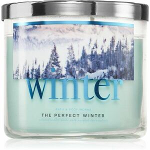 Bath & Body Works The Perfect Winter vonná svíčka 411 g obraz