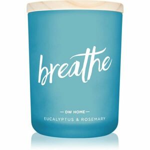 DW Home Zen Breathe vonná svíčka 210 g obraz