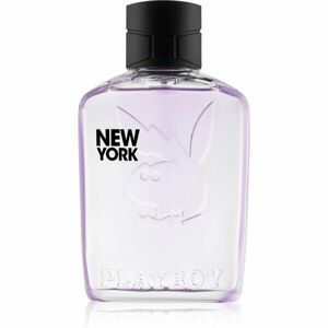 Playboy New York toaletní voda pro muže 100 ml obraz