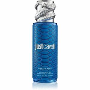 Roberto Cavalli Just Cavalli Vibrant Aqua parfémovaný tělový sprej pro ženy 250 ml obraz