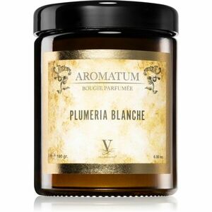 Vila Hermanos Aromatum Plumeria Blanche vonná svíčka 180 g obraz