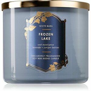 Bath & Body Works Frozen Lake vonná svíčka 411 g obraz