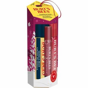 Burt’s Bees Festive Mistletoe Kiss dárková sada (na rty) obraz