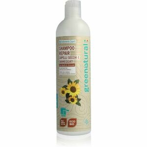 Greenatural Shampoo Repair regenerační šampon pro suché a poškozené vlasy s bambuckým máslem 400 ml obraz