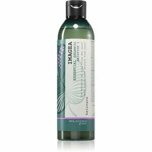 Elgon Green Imagea Essential Shampoo šampon 250 ml obraz