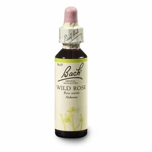 ORIGINAL BACH® Wild rose 20 ml obraz