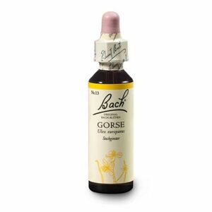 ORIGINAL BACH® Gorse 20 ml obraz