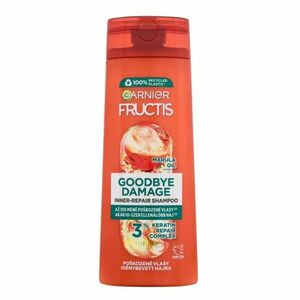 GARNIER Fructis Goodbye Damage Šampon na vlasy 250 ml obraz