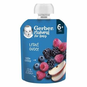 GERBER Kapsička natural lesní ovoce 6m+ 90 g obraz