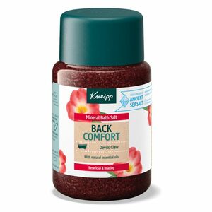 KNEIPP Back Comfort Sůl do koupele 500 g obraz